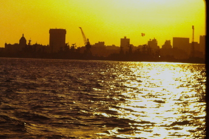 IMAG0031