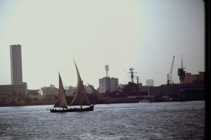 IMAG0041